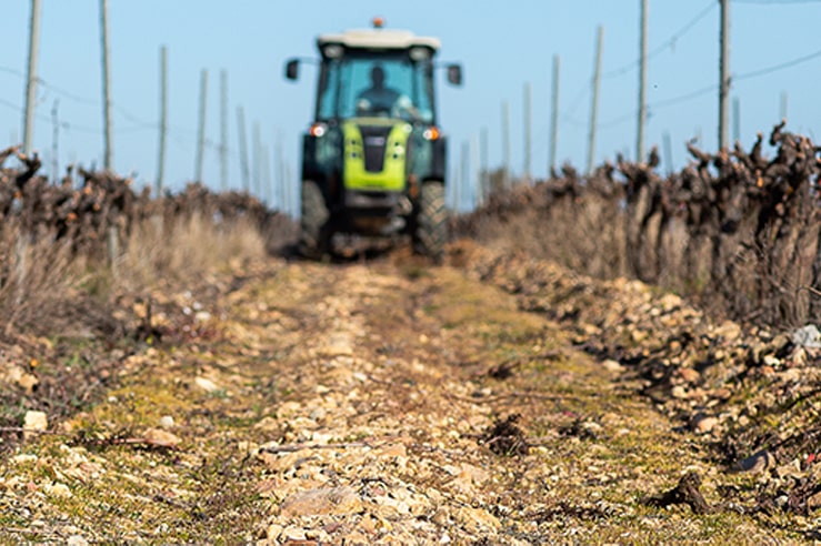 Vignoble Le Clos d'Elpis respect de la nature Roussillon